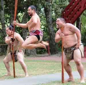 Maori Game Poi Rakau